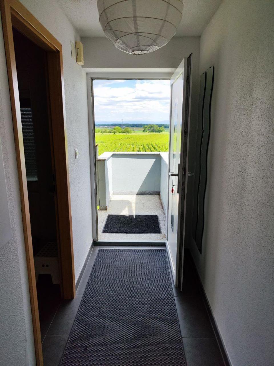 Bel Appartement En Centre Alsace Kintzheim Exterior photo