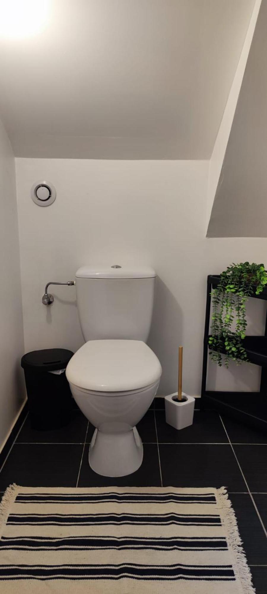 Bel Appartement En Centre Alsace Kintzheim Room photo